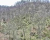 TBD Cowskin Fork Road, Duck, West Virginia 25063, ,Lots/land,For Sale,Cowskin Fork,10159075