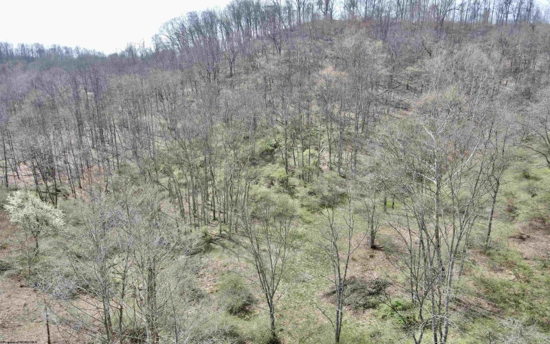 TBD Cowskin Fork Road, Duck, West Virginia 25063, ,Lots/land,For Sale,Cowskin Fork,10159075