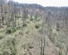 TBD Cowskin Fork Road, Duck, West Virginia 25063, ,Lots/land,For Sale,Cowskin Fork,10159075