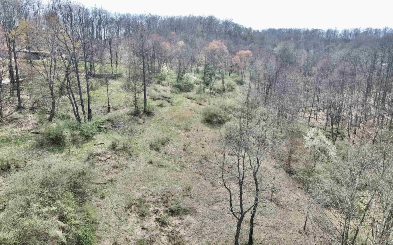 TBD Cowskin Fork Road, Duck, West Virginia 25063, ,Lots/land,For Sale,Cowskin Fork,10159075