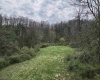 TBD Cowskin Fork Road, Duck, West Virginia 25063, ,Lots/land,For Sale,Cowskin Fork,10159075
