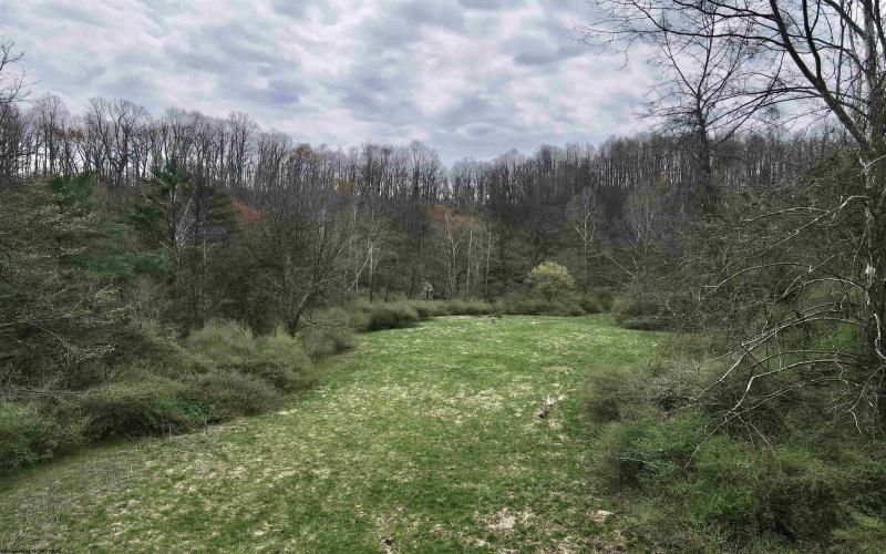 TBD Cowskin Fork Road, Duck, West Virginia 25063, ,Lots/land,For Sale,Cowskin Fork,10159075