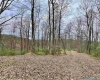 TBD Cowskin Fork Road, Duck, West Virginia 25063, ,Lots/land,For Sale,Cowskin Fork,10159075