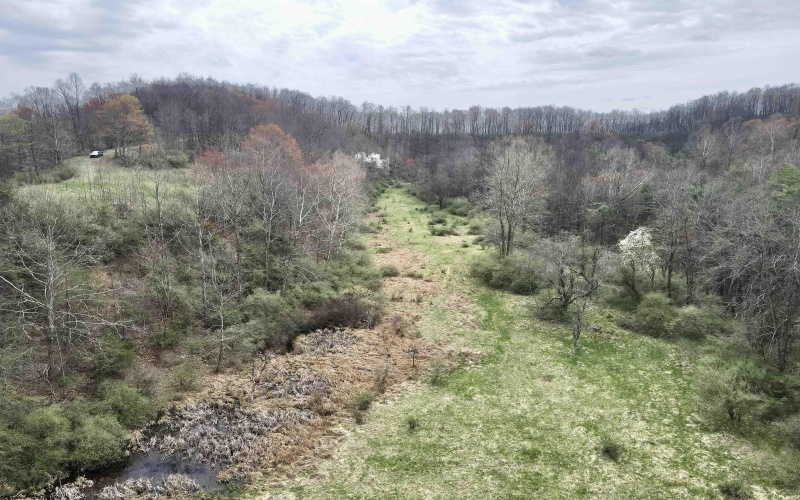 TBD Cowskin Fork Road, Duck, West Virginia 25063, ,Lots/land,For Sale,Cowskin Fork,10159075