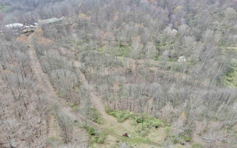 TBD Cowskin Fork Road, Duck, West Virginia 25063, ,Lots/land,For Sale,Cowskin Fork,10159075