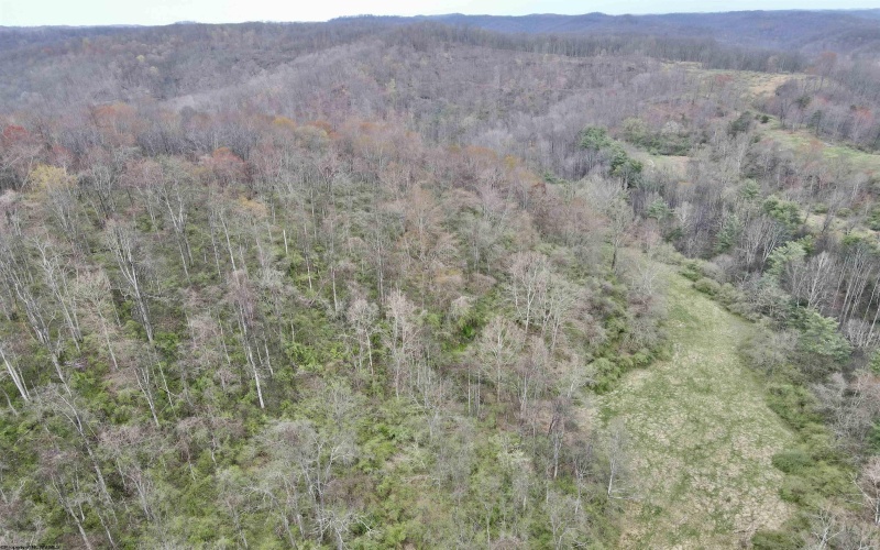 TBD Cowskin Fork Road, Duck, West Virginia 25063, ,Lots/land,For Sale,Cowskin Fork,10159075