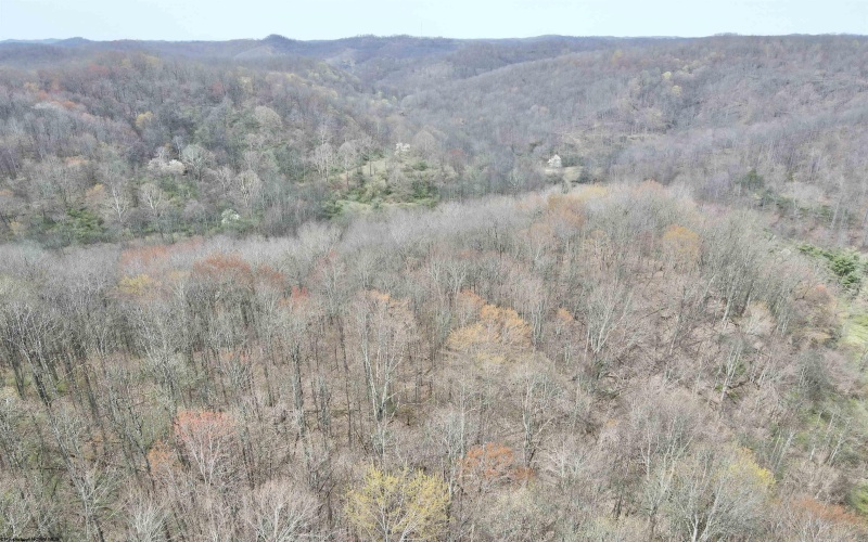TBD Cowskin Fork Road, Duck, West Virginia 25063, ,Lots/land,For Sale,Cowskin Fork,10159075