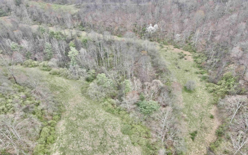 TBD Cowskin Fork Road, Duck, West Virginia 25063, ,Lots/land,For Sale,Cowskin Fork,10159075