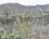 TBD Cowskin Fork Road, Duck, West Virginia 25063, ,Lots/land,For Sale,Cowskin Fork,10159075