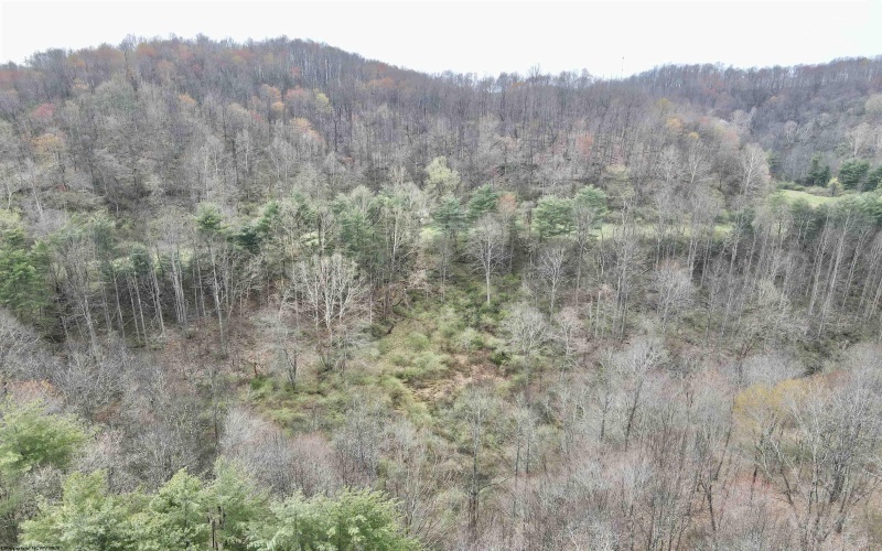 TBD Cowskin Fork Road, Duck, West Virginia 25063, ,Lots/land,For Sale,Cowskin Fork,10159075