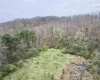 TBD Cowskin Fork Road, Duck, West Virginia 25063, ,Lots/land,For Sale,Cowskin Fork,10159075