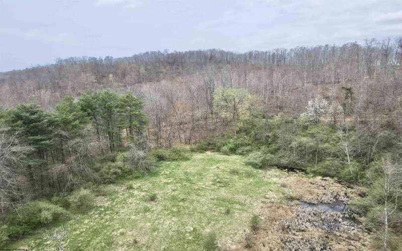 TBD Cowskin Fork Road, Duck, West Virginia 25063, ,Lots/land,For Sale,Cowskin Fork,10159075