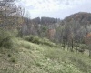 TBD Cowskin Fork Road, Duck, West Virginia 25063, ,Lots/land,For Sale,Cowskin Fork,10159075