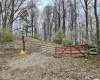TBD Cowskin Fork Road, Duck, West Virginia 25063, ,Lots/land,For Sale,Cowskin Fork,10159075