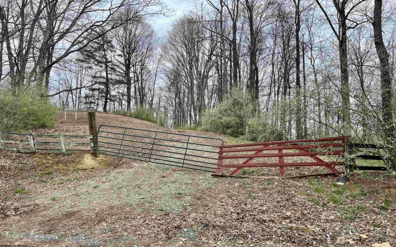 TBD Cowskin Fork Road, Duck, West Virginia 25063, ,Lots/land,For Sale,Cowskin Fork,10159075