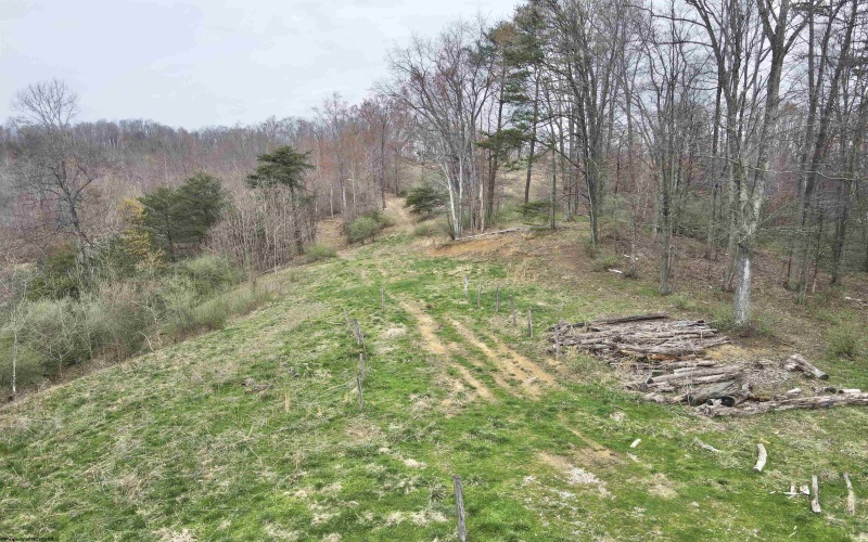 TBD Cowskin Fork Road, Duck, West Virginia 25063, ,Lots/land,For Sale,Cowskin Fork,10159075