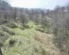 TBD Cowskin Fork Road, Duck, West Virginia 25063, ,Lots/land,For Sale,Cowskin Fork,10159075