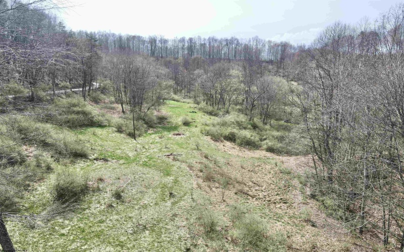 TBD Cowskin Fork Road, Duck, West Virginia 25063, ,Lots/land,For Sale,Cowskin Fork,10159075