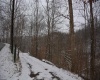TBD Sand Fork Road, Roanoke, West Virginia 26447-0000, ,Lots/land,For Sale,Sand Fork,10162741
