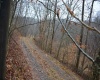 TBD Sand Fork Road, Roanoke, West Virginia 26447-0000, ,Lots/land,For Sale,Sand Fork,10162741