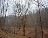 TBD Sand Fork Road, Roanoke, West Virginia 26447-0000, ,Lots/land,For Sale,Sand Fork,10162741
