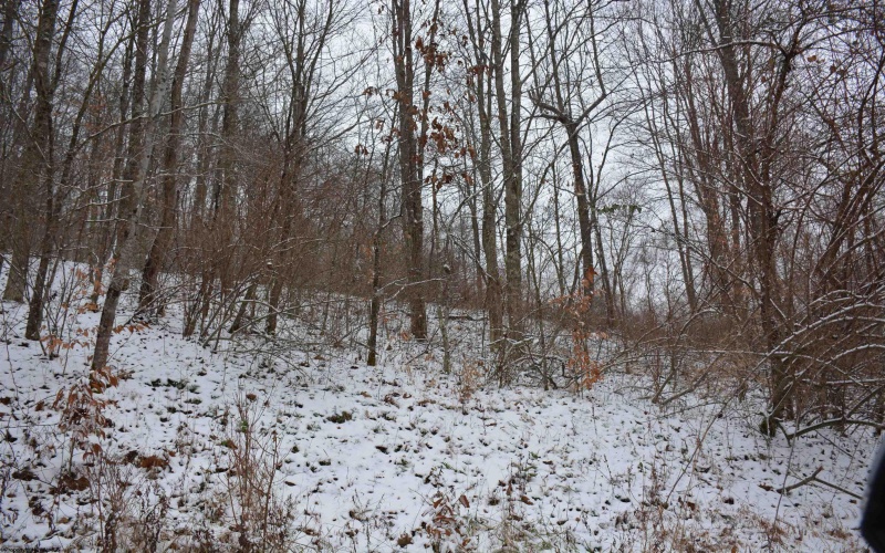 To Be Determine Sand Fork Road, Roanoke, West Virginia 26447-0000, ,Lots/land,For Sale,Sand Fork,10162742 To Be Determine Sand Fork Road, Roanoke, West Virginia 26447-0000, ,Lots/land,For Sale,Sand Fork,10162742