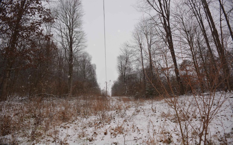 To Be Determine Sand Fork Road, Roanoke, West Virginia 26447-0000, ,Lots/land,For Sale,Sand Fork,10162742 To Be Determine Sand Fork Road, Roanoke, West Virginia 26447-0000, ,Lots/land,For Sale,Sand Fork,10162742