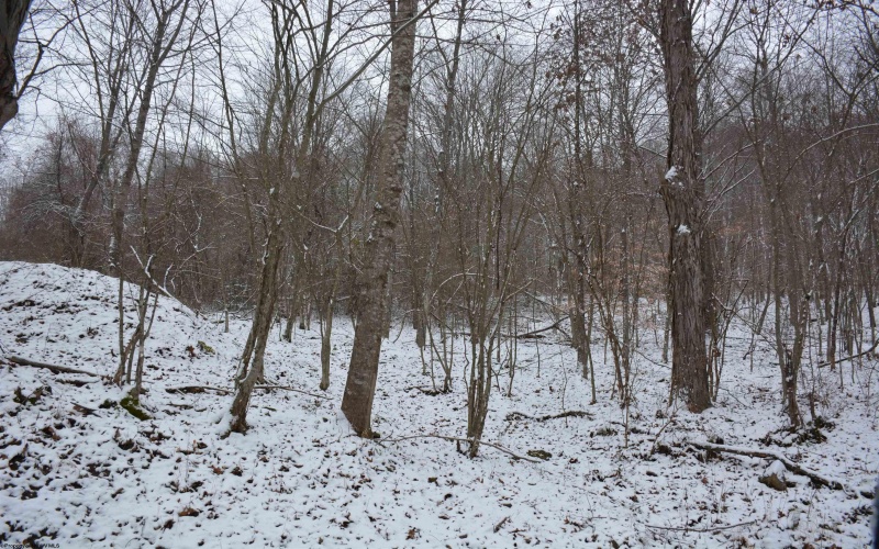 To Be Determine Sand Fork Road, Roanoke, West Virginia 26447-0000, ,Lots/land,For Sale,Sand Fork,10162742 To Be Determine Sand Fork Road, Roanoke, West Virginia 26447-0000, ,Lots/land,For Sale,Sand Fork,10162742