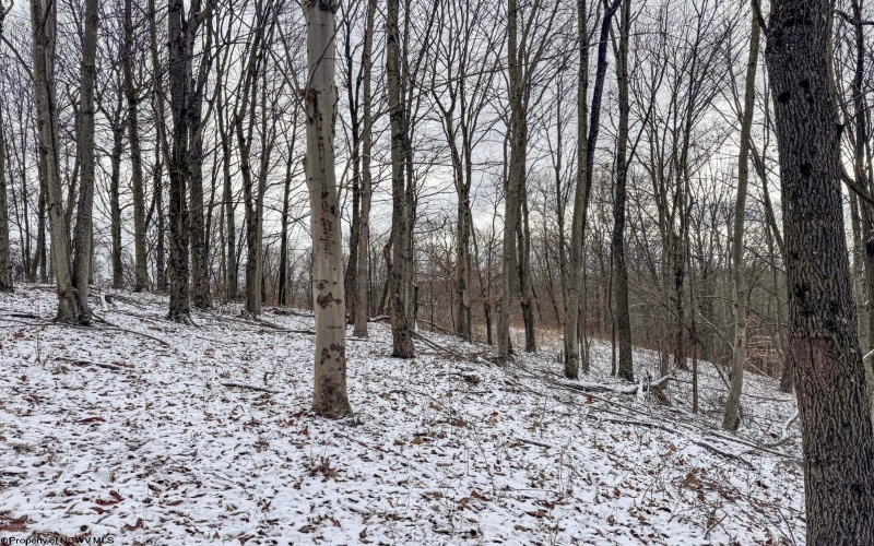 Lot 1 Miracle Run Road, Fairview, West Virginia 26570, ,Lots/land,For Sale,Miracle Run,10162744 Lot 1 Miracle Run Road, Fairview, West Virginia 26570, ,Lots/land,For Sale,Miracle Run,10162744