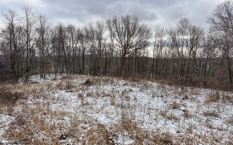 Lot 1 Miracle Run Road, Fairview, West Virginia 26570, ,Lots/land,For Sale,Miracle Run,10162744 Lot 1 Miracle Run Road, Fairview, West Virginia 26570, ,Lots/land,For Sale,Miracle Run,10162744