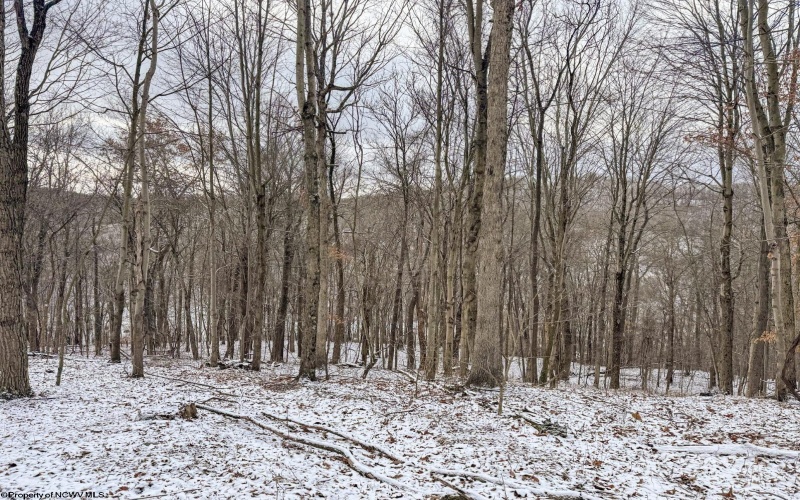 Lot 1 Miracle Run Road, Fairview, West Virginia 26570, ,Lots/land,For Sale,Miracle Run,10162744 Lot 1 Miracle Run Road, Fairview, West Virginia 26570, ,Lots/land,For Sale,Miracle Run,10162744