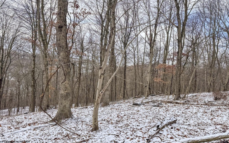 Lot 1 Miracle Run Road, Fairview, West Virginia 26570, ,Lots/land,For Sale,Miracle Run,10162744 Lot 1 Miracle Run Road, Fairview, West Virginia 26570, ,Lots/land,For Sale,Miracle Run,10162744