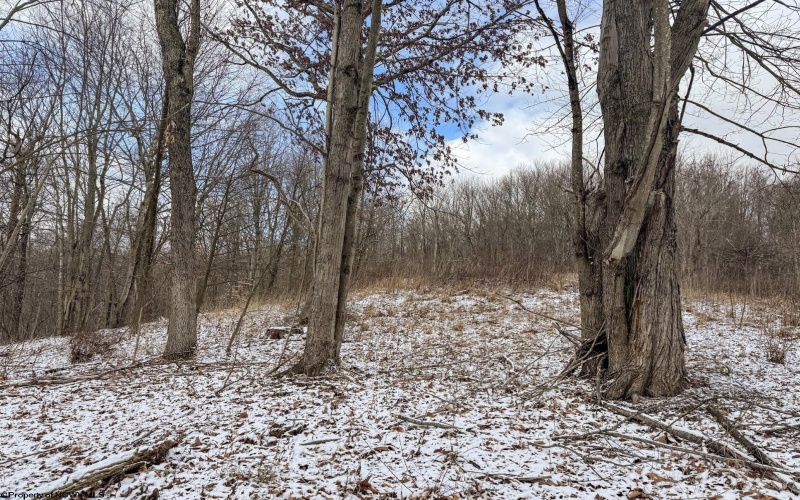 Lot 1 Miracle Run Road, Fairview, West Virginia 26570, ,Lots/land,For Sale,Miracle Run,10162744 Lot 1 Miracle Run Road, Fairview, West Virginia 26570, ,Lots/land,For Sale,Miracle Run,10162744