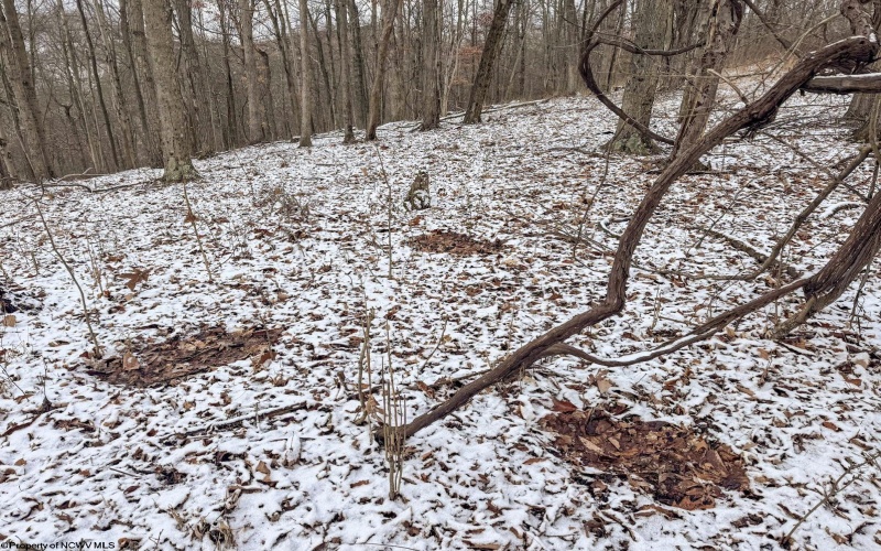 Lot 1 Miracle Run Road, Fairview, West Virginia 26570, ,Lots/land,For Sale,Miracle Run,10162744 Lot 1 Miracle Run Road, Fairview, West Virginia 26570, ,Lots/land,For Sale,Miracle Run,10162744