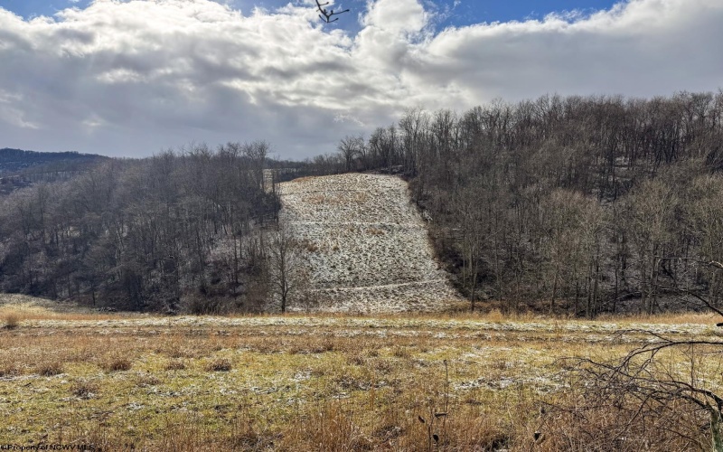 Lot 1 Miracle Run Road, Fairview, West Virginia 26570, ,Lots/land,For Sale,Miracle Run,10162744 Lot 1 Miracle Run Road, Fairview, West Virginia 26570, ,Lots/land,For Sale,Miracle Run,10162744