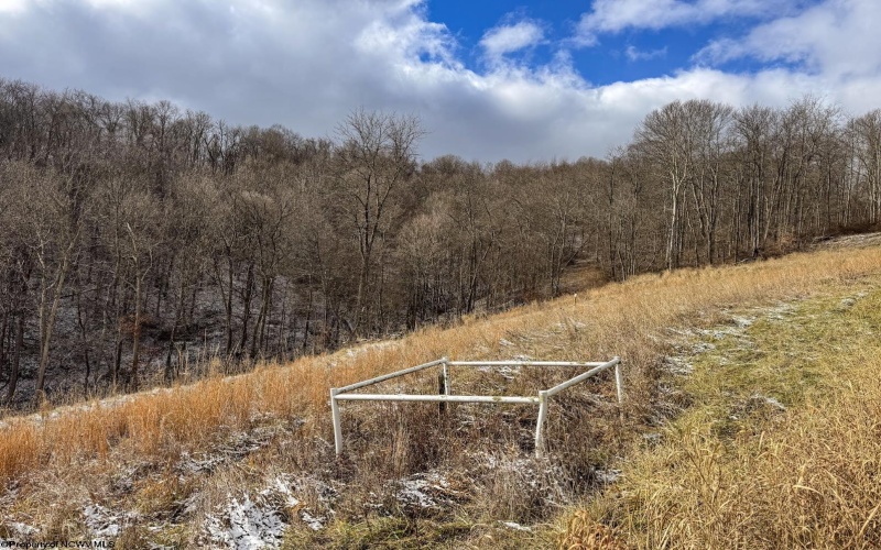 Lot 1 Miracle Run Road, Fairview, West Virginia 26570, ,Lots/land,For Sale,Miracle Run,10162744 Lot 1 Miracle Run Road, Fairview, West Virginia 26570, ,Lots/land,For Sale,Miracle Run,10162744