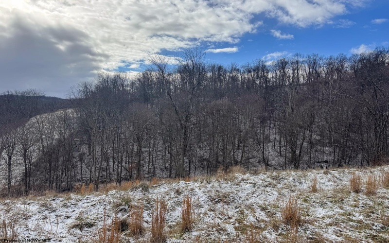 Lot 1 Miracle Run Road, Fairview, West Virginia 26570, ,Lots/land,For Sale,Miracle Run,10162744 Lot 1 Miracle Run Road, Fairview, West Virginia 26570, ,Lots/land,For Sale,Miracle Run,10162744