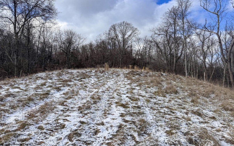 Lot 1 Miracle Run Road, Fairview, West Virginia 26570, ,Lots/land,For Sale,Miracle Run,10162744 Lot 1 Miracle Run Road, Fairview, West Virginia 26570, ,Lots/land,For Sale,Miracle Run,10162744