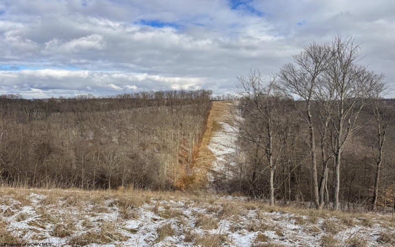 Lot 1 Miracle Run Road, Fairview, West Virginia 26570, ,Lots/land,For Sale,Miracle Run,10162744 Lot 1 Miracle Run Road, Fairview, West Virginia 26570, ,Lots/land,For Sale,Miracle Run,10162744