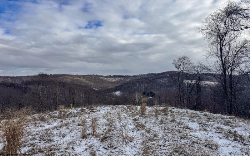 Lot 1 Miracle Run Road, Fairview, West Virginia 26570, ,Lots/land,For Sale,Miracle Run,10162744 Lot 1 Miracle Run Road, Fairview, West Virginia 26570, ,Lots/land,For Sale,Miracle Run,10162744