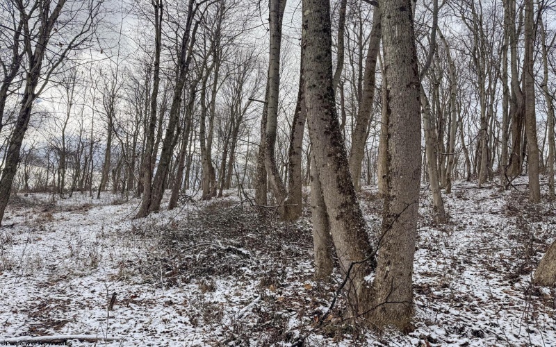 Lot 1 Miracle Run Road, Fairview, West Virginia 26570, ,Lots/land,For Sale,Miracle Run,10162744 Lot 1 Miracle Run Road, Fairview, West Virginia 26570, ,Lots/land,For Sale,Miracle Run,10162744