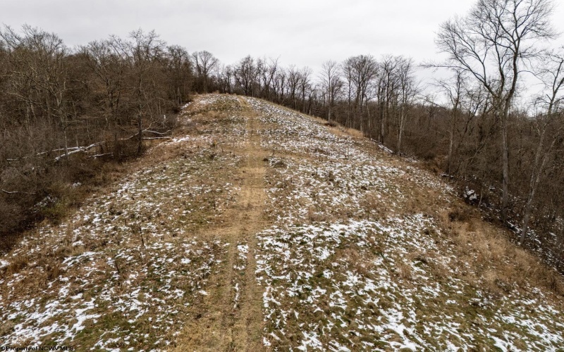 Lot 1 Miracle Run Road, Fairview, West Virginia 26570, ,Lots/land,For Sale,Miracle Run,10162744 Lot 1 Miracle Run Road, Fairview, West Virginia 26570, ,Lots/land,For Sale,Miracle Run,10162744