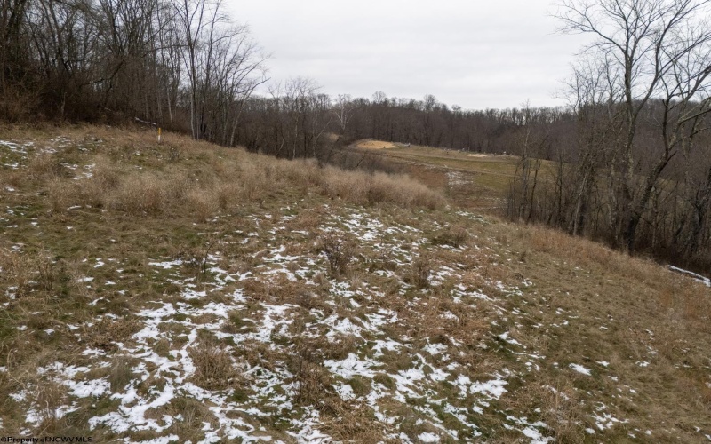 Lot 1 Miracle Run Road, Fairview, West Virginia 26570, ,Lots/land,For Sale,Miracle Run,10162744 Lot 1 Miracle Run Road, Fairview, West Virginia 26570, ,Lots/land,For Sale,Miracle Run,10162744