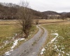Lot 1 Miracle Run Road, Fairview, West Virginia 26570, ,Lots/land,For Sale,Miracle Run,10162744 Lot 1 Miracle Run Road, Fairview, West Virginia 26570, ,Lots/land,For Sale,Miracle Run,10162744