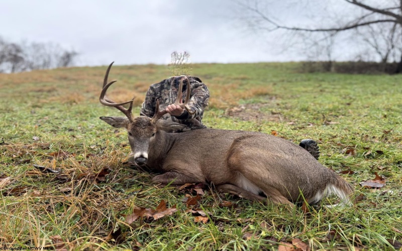 Lot 1 Miracle Run Road, Fairview, West Virginia 26570, ,Lots/land,For Sale,Miracle Run,10162744 Lot 1 Miracle Run Road, Fairview, West Virginia 26570, ,Lots/land,For Sale,Miracle Run,10162744