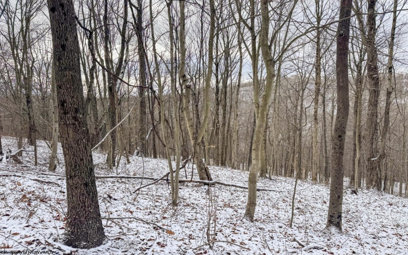 Lot 1 Miracle Run Road, Fairview, West Virginia 26570, ,Lots/land,For Sale,Miracle Run,10162744 Lot 1 Miracle Run Road, Fairview, West Virginia 26570, ,Lots/land,For Sale,Miracle Run,10162744