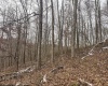 Lot 1 States Fork Road, Metz, West Virginia 26585, ,Lots/land,For Sale,States Fork,10162745