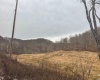 Lot 1 States Fork Road, Metz, West Virginia 26585, ,Lots/land,For Sale,States Fork,10162745