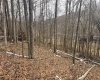 Lot 1 States Fork Road, Metz, West Virginia 26585, ,Lots/land,For Sale,States Fork,10162745