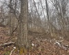 Lot 1 States Fork Road, Metz, West Virginia 26585, ,Lots/land,For Sale,States Fork,10162745